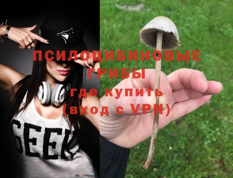 Псилоцибиновые грибы MAGIC MUSHROOMS  нарко площадка какой сайт  Нижние Серги 